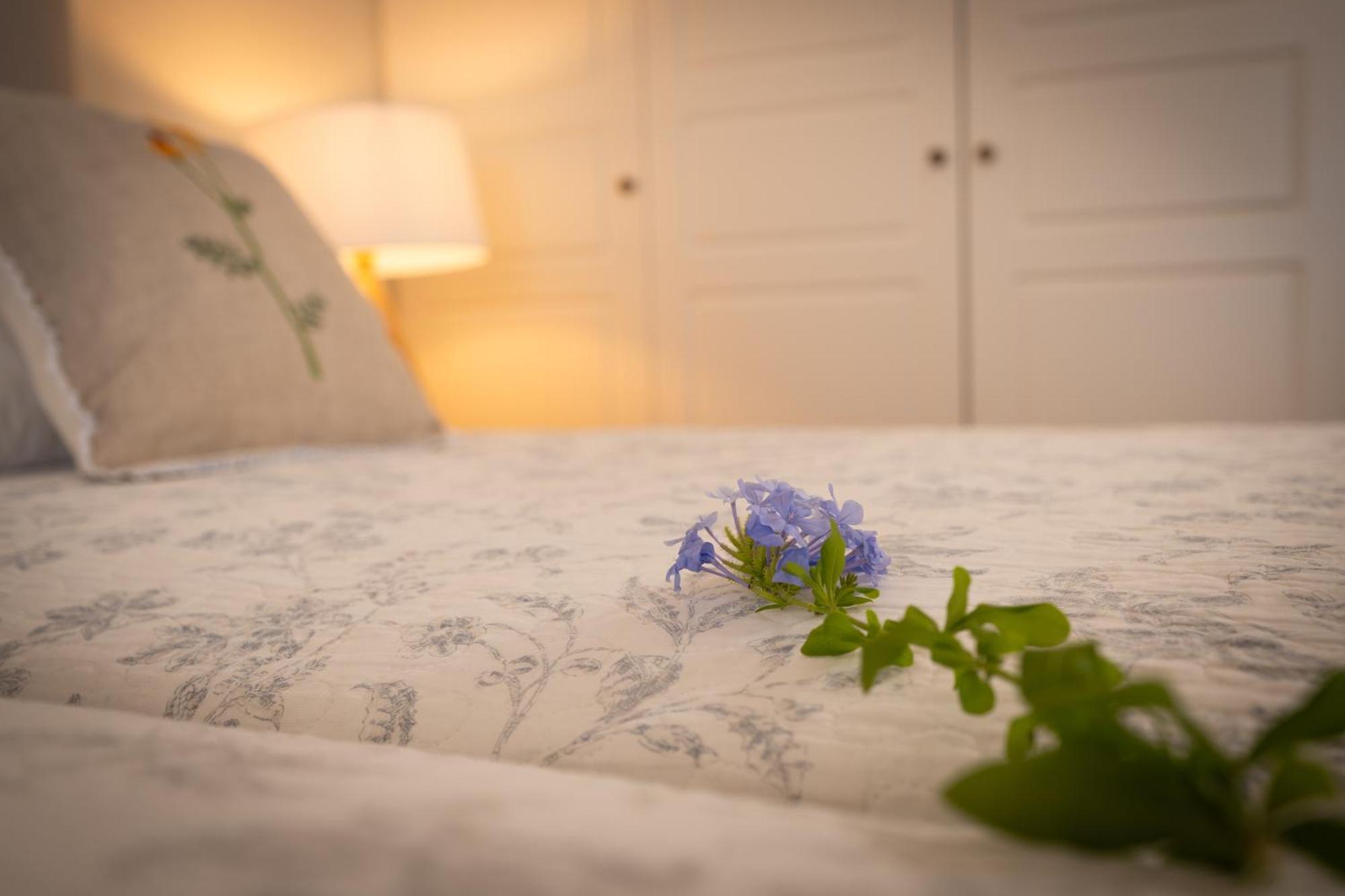 Beach Villa Aetos Kaminaki Nissaki Nisaki  ภายนอก รูปภาพ